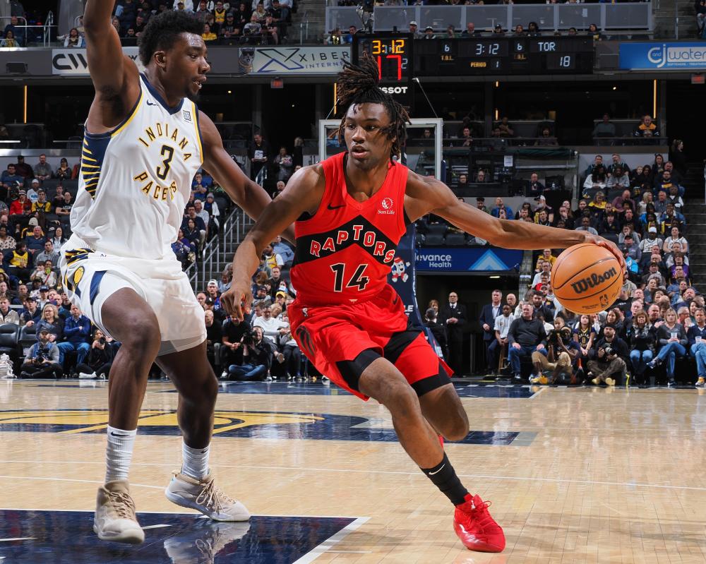 荣誉的希望 荣誉的希望